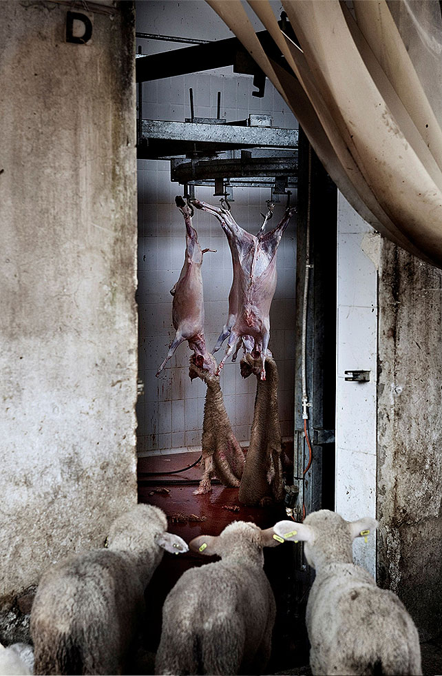 World Press Photo 2010 – Tremendo. Noticias