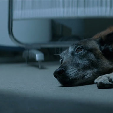 Él nunca te abandonaría Noticias