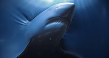 Creativos y creatividad